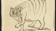 A companion of Lear from 1872 to 1887, Foss (or Phos, as Lear calls him in this sketch) was named after a big cougar-like carnivore of Madagascar. Ink on paper.