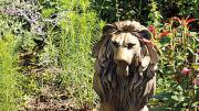  &ldquo;Aslan&rdquo; watches over all.