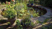  The water garden, with surrounding planters,