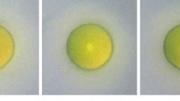The capsules shrink as they dry, changing the density of the particles within and, therefore, the color produced. A dose of UV light freezes both capsule and color.