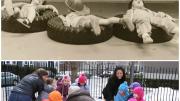 1982 and 2013