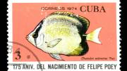 The 1974 Cuban stamps display fish named by Poey.