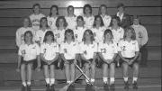 The 1990 Harvard women’s lacrosse team