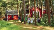 Old pines shade the rustic lodge.