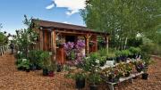 barn with plants