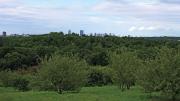 Views of Boston from the arboretum's Peters Hill 