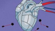 Illustration of an armor-clad heart, resistant to bacterial attacks