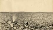 “This shows the use of the shoulder gun firing a bomb lance and also the exact appearance of a spouting Whale when seen close at hand. This method of whaling was used by the Provincetown whalers in the pursuit of Finback Whales in Massachusetts Bay.”