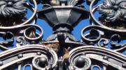 Sparrows build a nest amid the foliate ornament of the Morgan (Class of 1877) Gate along Massachusetts Avenue. The gate leads to the rear entrance of Widener Library. 