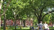 Scenes of Harvard Yard on a mid-July morning
