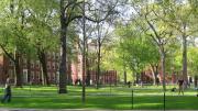Photograph of Harvard Yard 