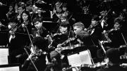 Part of the HRO string section, 1991.