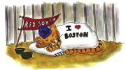 From <i>On the Loose in Boston: A Find-the-Animals Book,</i> by Sage Stossel  