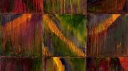 <em>Kanjeevaram Series</em> (oil on canvas, 2005)