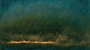 <em>Sacred Places Within You 40</em> (oil on canvas, 2009)