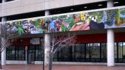 Photograph courtesy of David Fichter <i>Alewife Reservation</i>