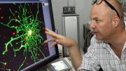 Kevin Kit Parker, the Thomas D. Cabot Associate Professor of Applied Science and Associate Professor of Biomedical Engineering, is researching traumatic brain injury (primarily from his experience in the military)