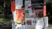 The kiosk next to Widener Library