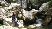 River in a gorge in Romania’s Carpathian mountains, one of the collecting sites.