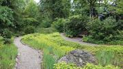 Meandering paths at Fairsted, the Frederick Law Olmsted National Historic Site. 