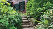 Rustic rock steps lead to a shady dell.