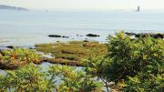 Water&rsquo;s edge at the Fort Stark State Historic Site