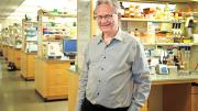 Jeffrey Way is part of a team that engineered cyanobacteria to produce sugars from photosynthesis more efficiently.