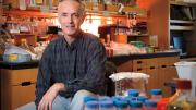 James J. Collins led a team that built a genetic toggle switch, a first step to constructing biological circuits and computers.