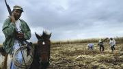 Scenes from <i>The Price of Sugar:</i> armed guards on horseback often patrol workers in shantytowns