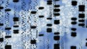 Computer artwork of an autoradiogram of DNA sequences. 
