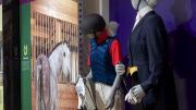 Examples of formal competition wear and polo-playing dress