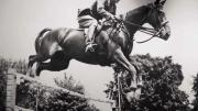 Vintage photographs of horses and riders in motion depict the disciplined nature of equestrian sports.