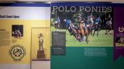A display about polo, which still attracts fans and players in Massachusetts and at Harvard.