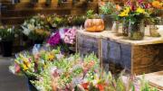 A photograph of flowers from Field & Vase/Stow Greenhouses