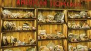 A photo of bowls and platters crafted from foraged stones by American Stonecraft