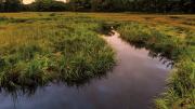 A colorful scene of marsh grasses and water at twilight within the Castle Neck River Reservation.