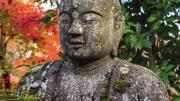 A stone statue of the Buddha appears against a background of colorful autumn leaves.
