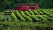 Views of orchards and iconic red bar at Lookout farm