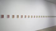 <i>Differentiation Series</i> will be on display at the Carpenter Center for the Visual Arts through October 7.