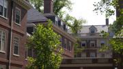 A view of the Lowell's brick walls from inside a courtyard