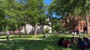 Students gather on the grass in Harvard yard