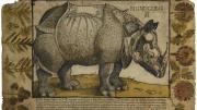 Unknown artist, after Albrecht Dürer and Hans Liefrinck the elder, <i>Rhinoceros,</i> c. 1550. Woodcut with hand- coloring, letterpress, and impressed plants.