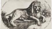 Jacques de Gheyn II, <i>Great Lion,</i> c. 1590. Engraving.