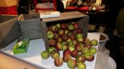 Roxbury Russets