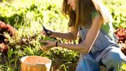 Wade tends her three-acre garden, with a 1,200-square-foot greenhouse, in Nambé, a hamlet 20 miles north of Santa Fe, with help from one other gardener.