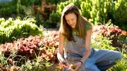 Wade raises about 70 percent of Vinaigrette’s produce on her own land, and whatever happens to be thriving inspires her salad creations.