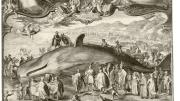 Jan Saenredam’s 1602 engraving, <i>Beached Whale near Beverwijk,</i> shows the artist himself sketching the scene in the left foreground, translating empirical information gathered by others to create an accurate visual record of the carcass. Yet the allegorical frame at the top of the print nevertheless alludes to a classical past by asking whether the beaching of the whale is an ill omen for the Dutch.