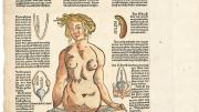 Heinrich Vogtherr the Elder’s 1544 <i>Anatomy; or a faithful reproduction of the body of a female</i> goes further (see next image).