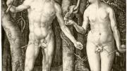 Dürer’s 1504 <i>Adam and Eve,</i> a study of the perfect human body, from early in his career, presaged lifelong interests: from studies of human proportion to natural­istic renderings of plants and animals.