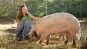 Wade with one of her composting pigs, which recycle all the restaurant’s food waste